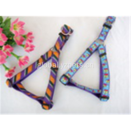 China Hot sales dog strap harness for walking dog Factory